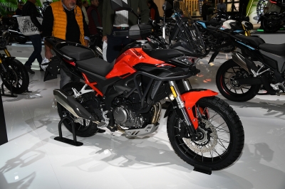 Cliquer pour voir l'image en taille réelle