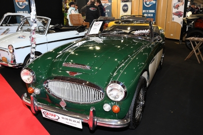 Cliquer pour voir l'image en taille réelle