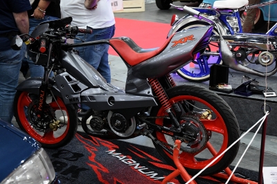 Cliquer pour voir l'image en taille réelle